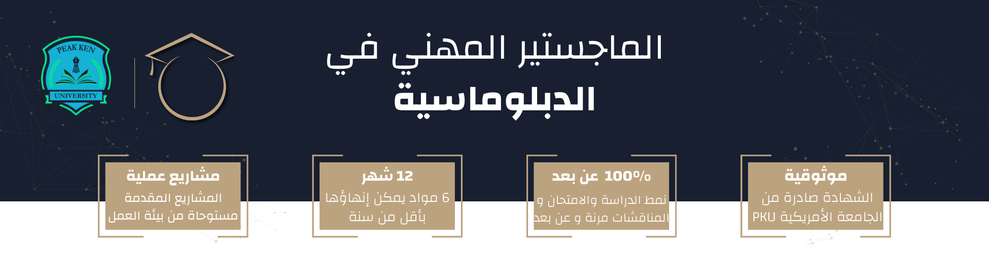 الماجستير المهني في الدبلوماسية