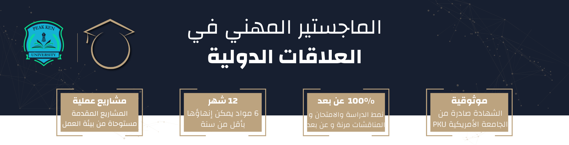 الماجستير المهني في العلاقات الدولية