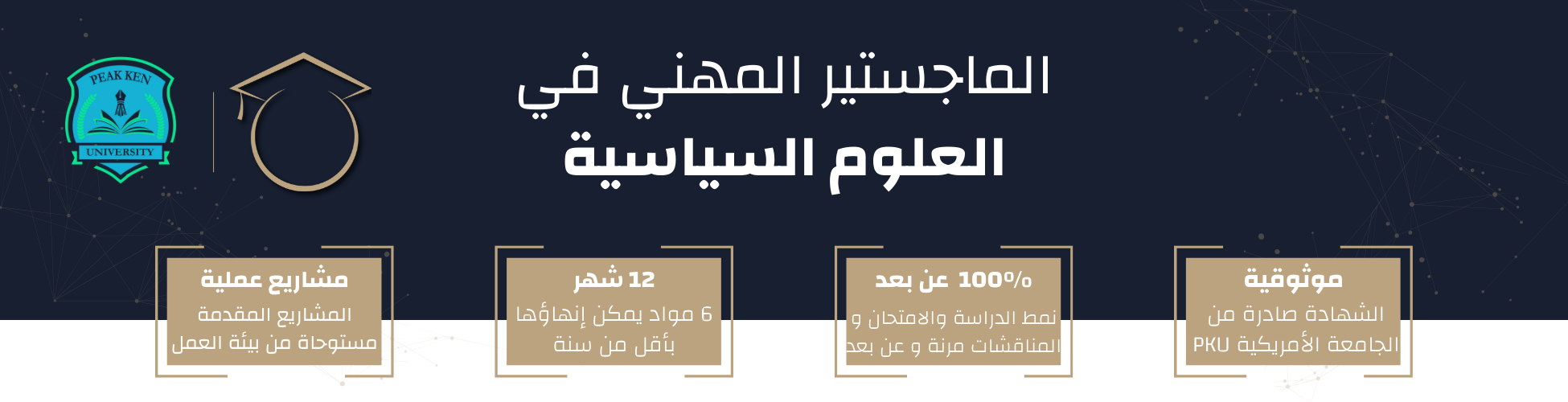الماجستير المهني في العلوم السياسية