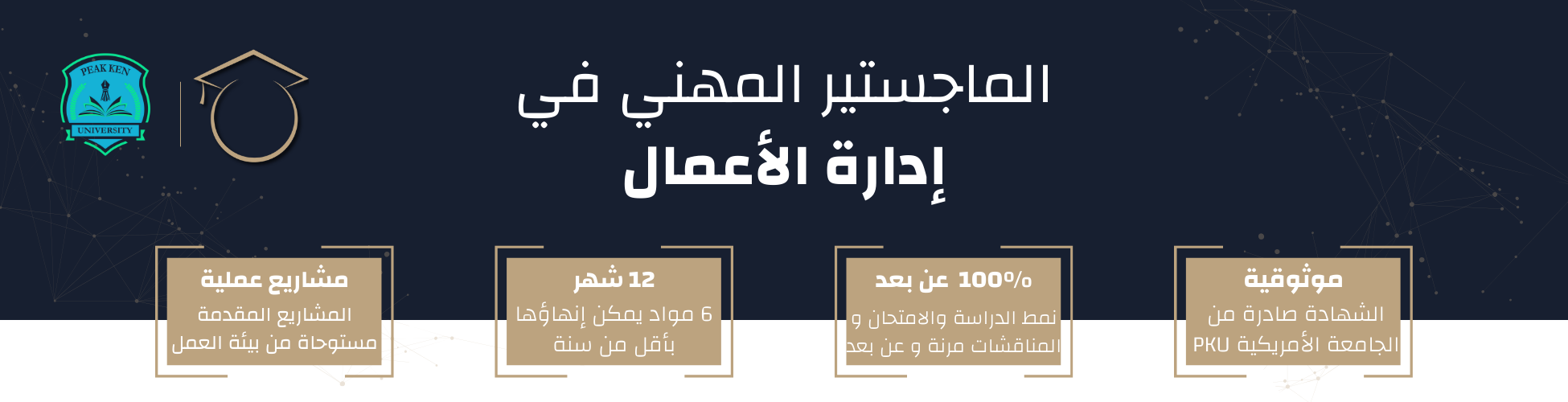 الماجستير المهني في إدارة الأعمال