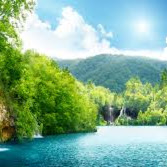 الصورة الرمزية لـ mohamed.shraidy@gmail.com