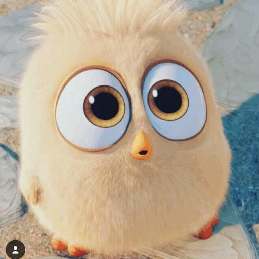 الصورة الرمزية لـ mariaafif3@gmail.com