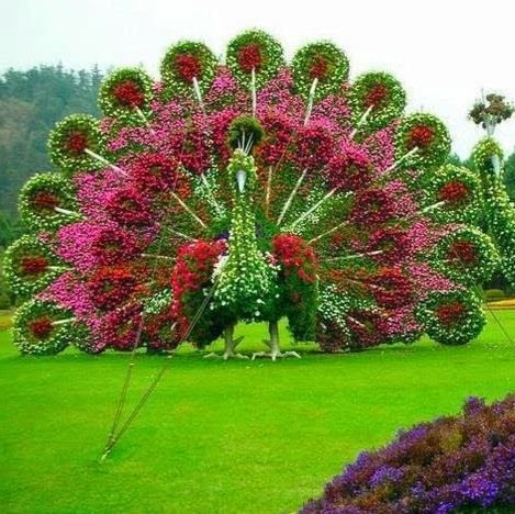 الصورة الرمزية لـ marrourhim@gmail.com