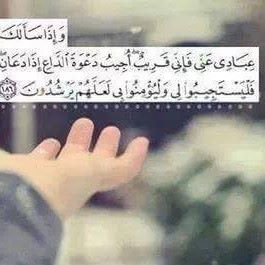 الصورة الرمزية لـ halimasoran@hotmail.com