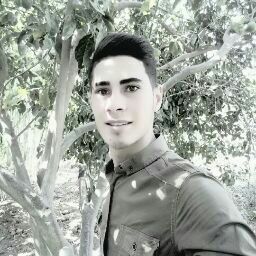 الصورة الرمزية لـ ameerelbasuni@gmail.com