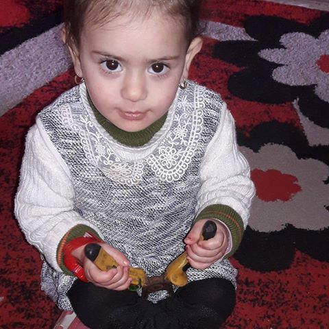 الصورة الرمزية لـ ya62245@gmail.com