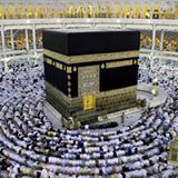 الصورة الرمزية لـ ah.jesry@hotmail.com