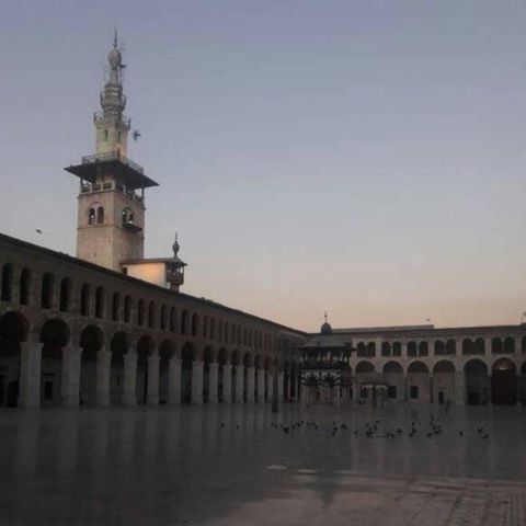 الصورة الرمزية لـ hmsaba85@gmail.com